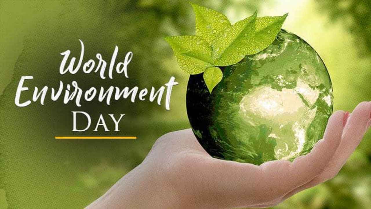 World Environment Day Celebration